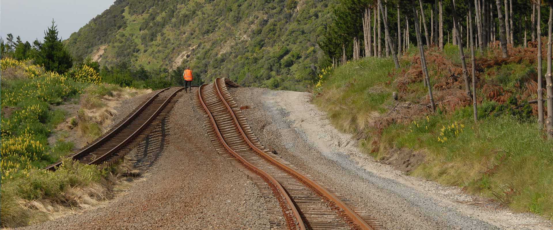 01 Earthquake Project 02