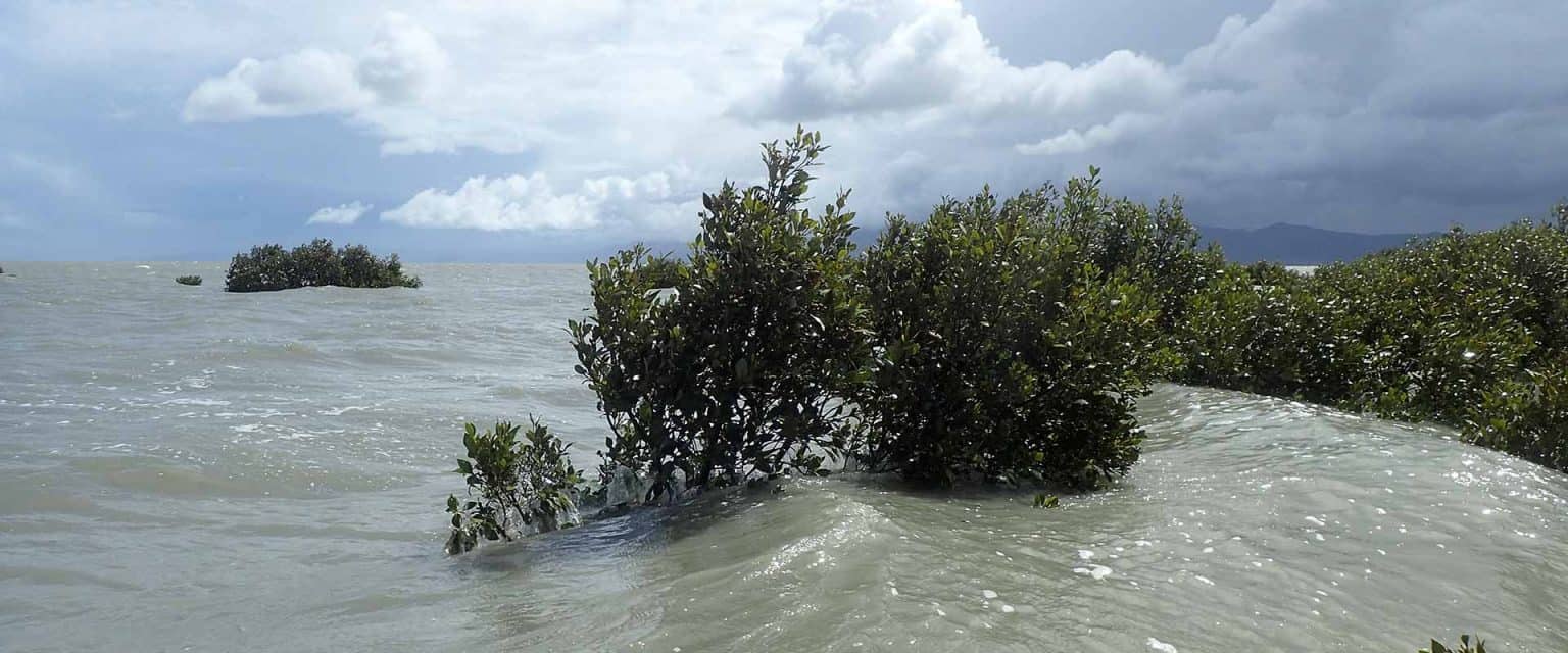 Coastal Hazards – Resilience to Nature's Challenges