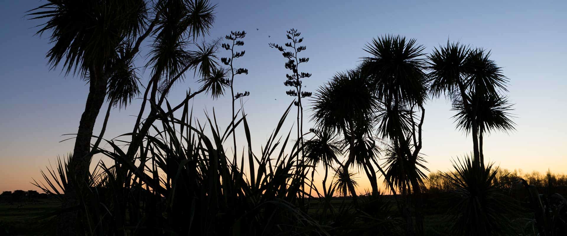 09 Whanake Project 02