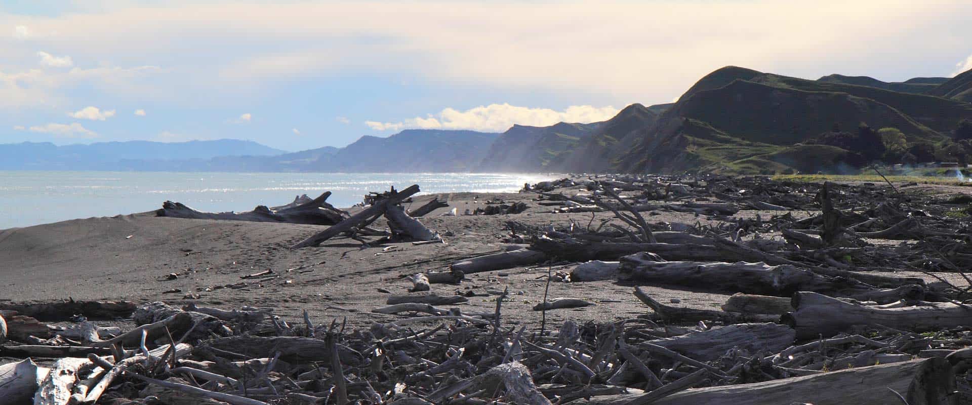 149997 kyle bland gns science