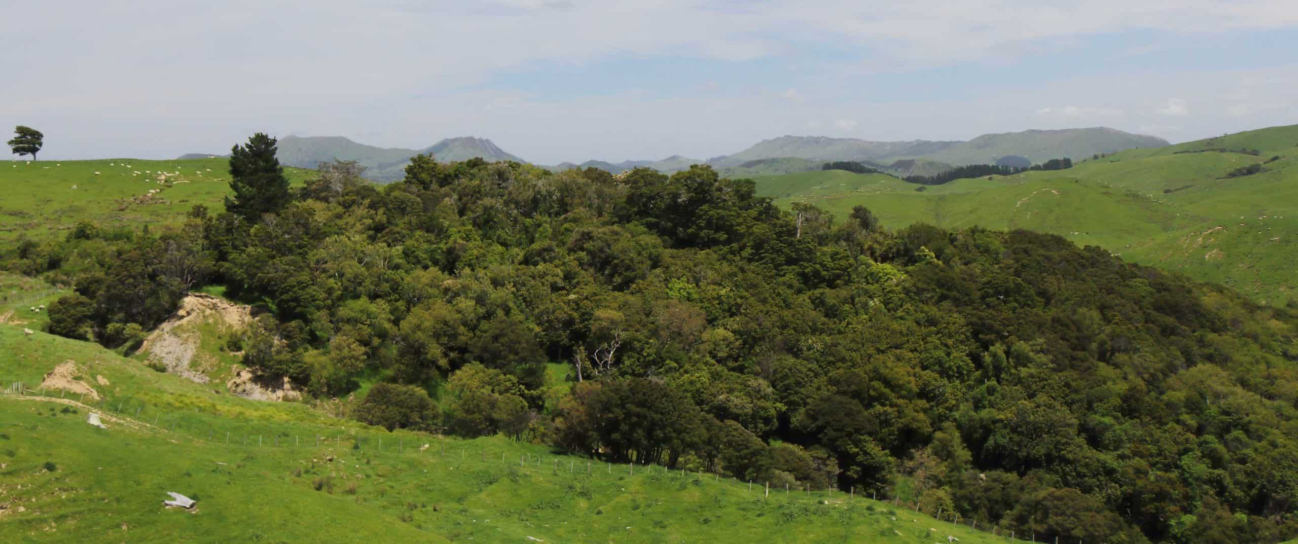 215333 kyle bland gns science