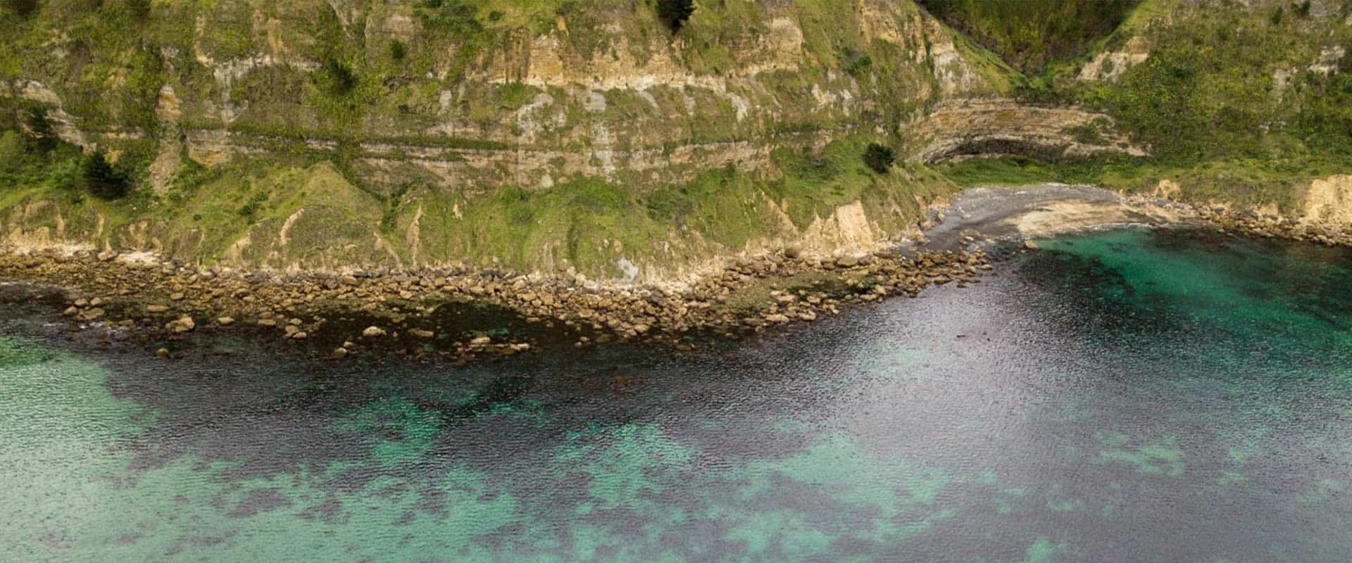 coastal ecosystem credit niwa