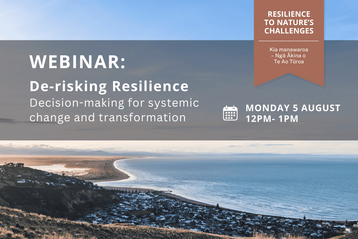 de risking resilience webinar