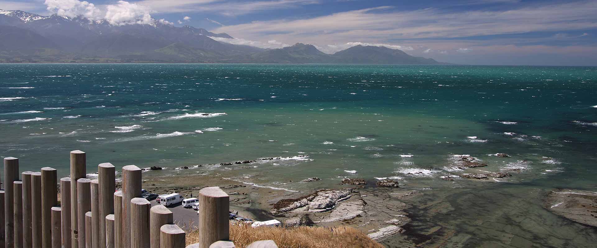 governance case studies