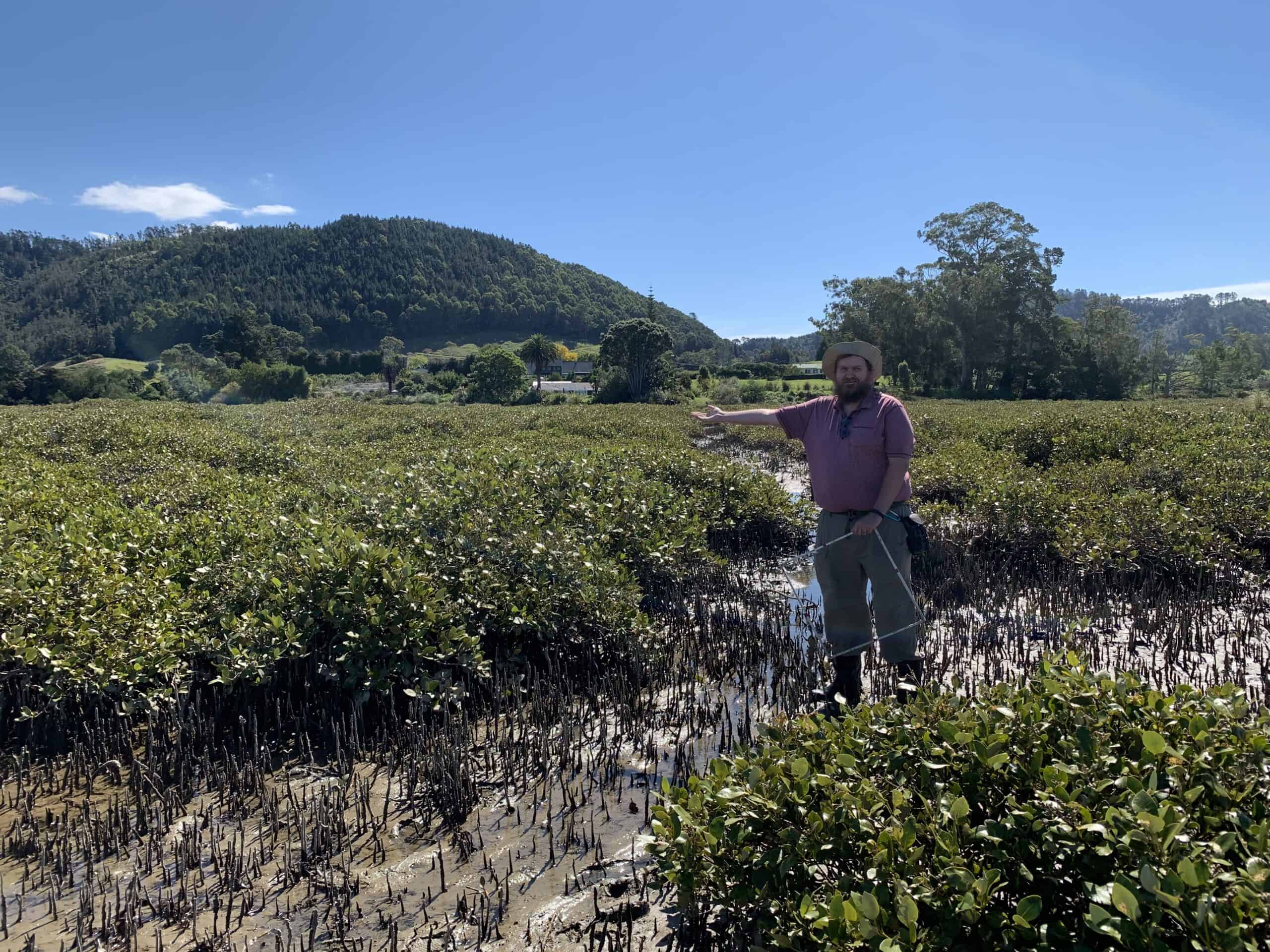 Joshua Sargent2_fieldwork_in_mangroves Joshua Sargent2_fieldwork_in_mangroves