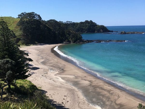 kings beach, whananaki photo credit mark dickson cropped