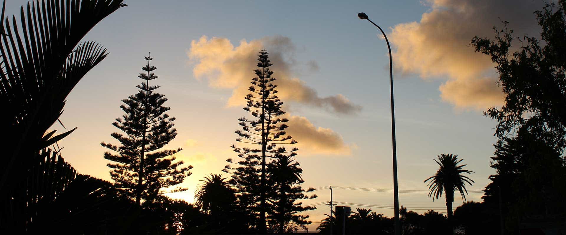 resilience in auckland's south east asian communities