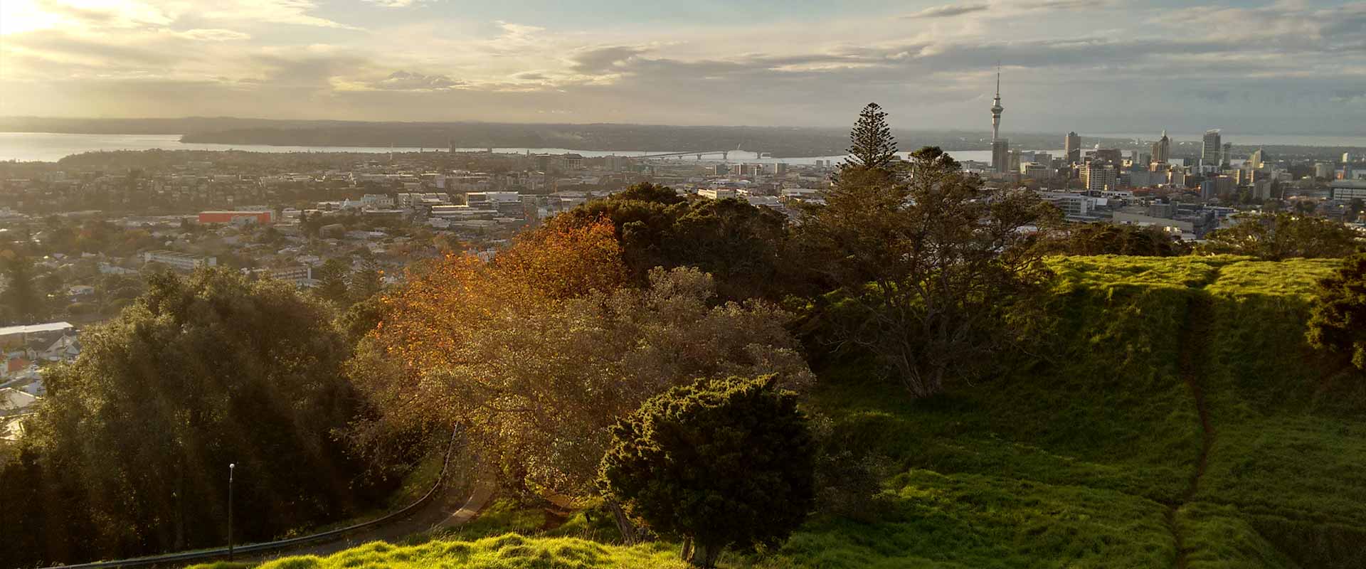 resilient auckland communities