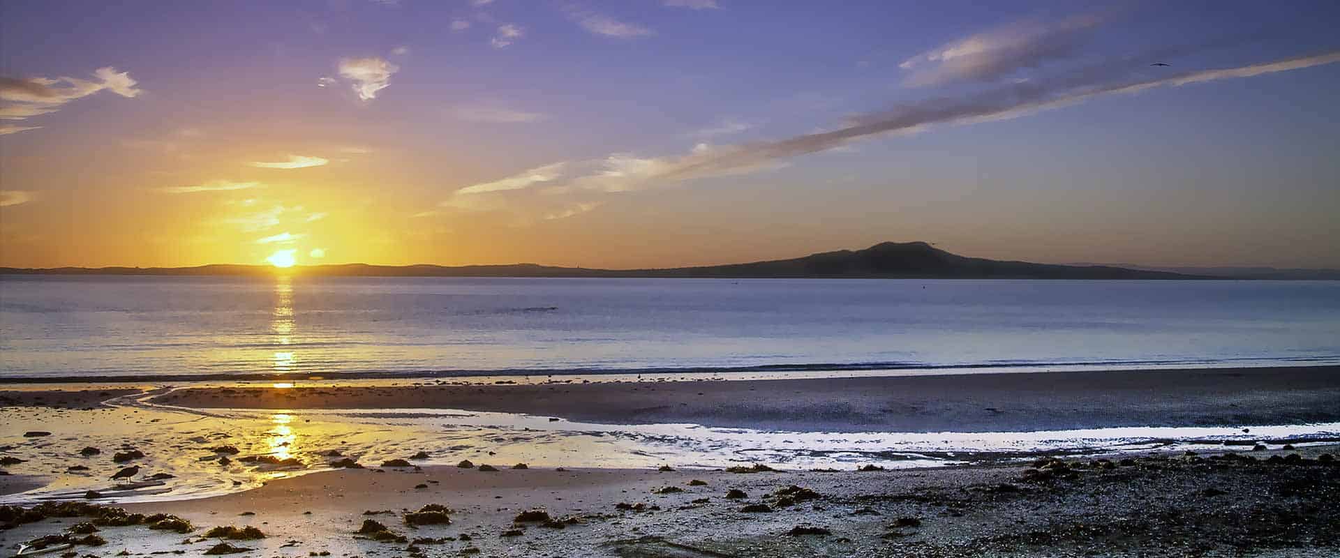 resilient auckland planning