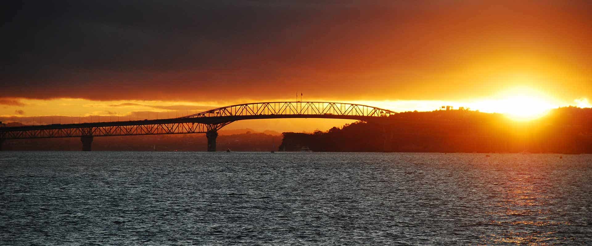 resilient cities network development