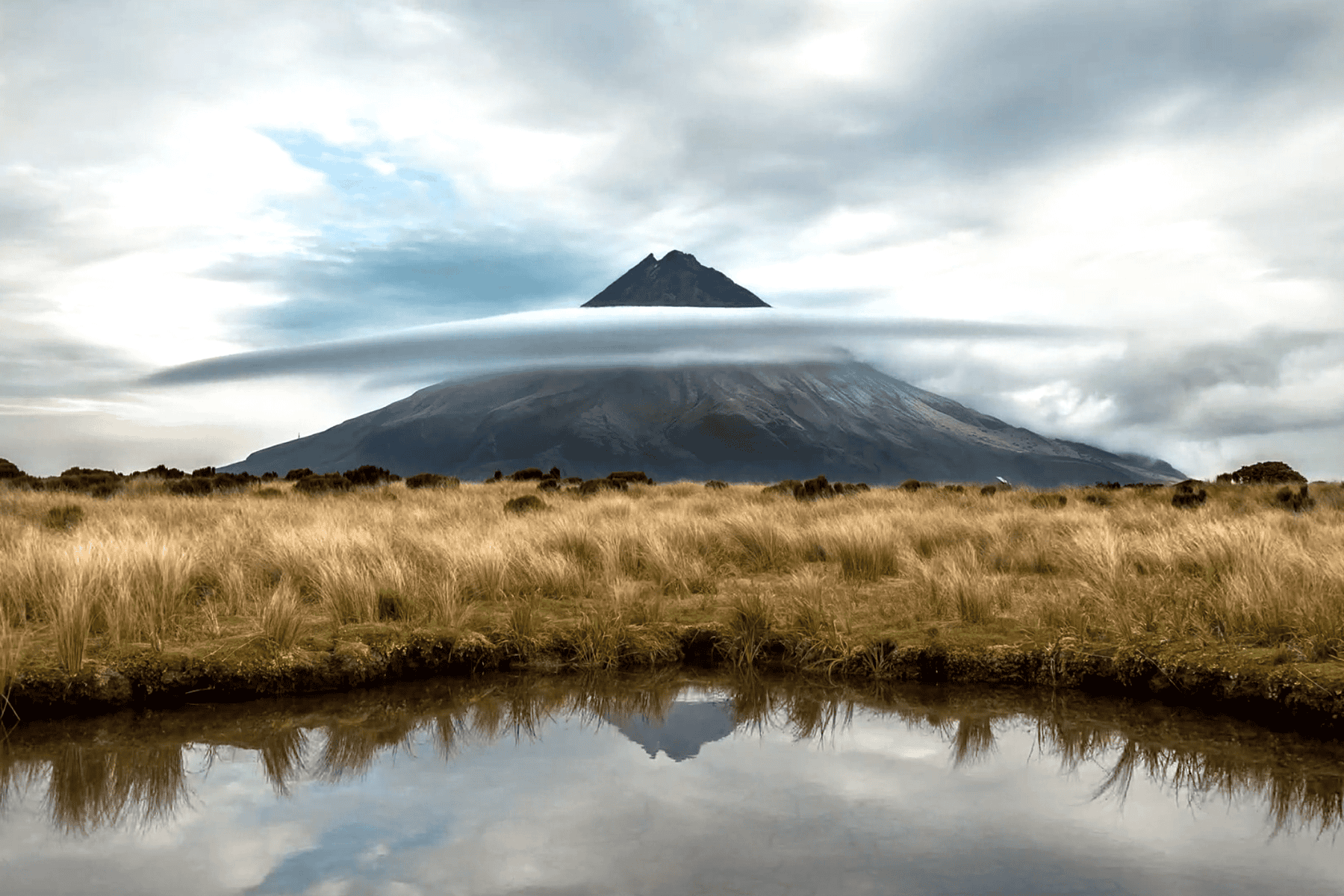 taranaki mounga 12x8