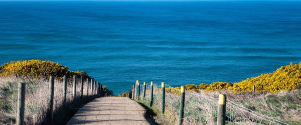 tsunami risk reduction activities for kura kaupapa māori